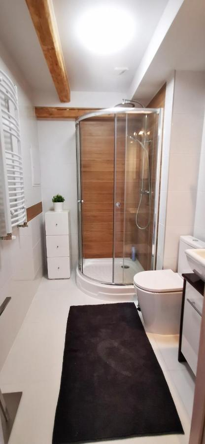 Klimatyczny Apartament Nr 8 Z Widokiem Na Gory Sowie เบียลาวา ภายนอก รูปภาพ