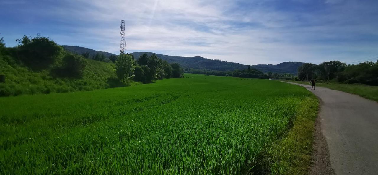 Klimatyczny Apartament Nr 8 Z Widokiem Na Gory Sowie เบียลาวา ภายนอก รูปภาพ