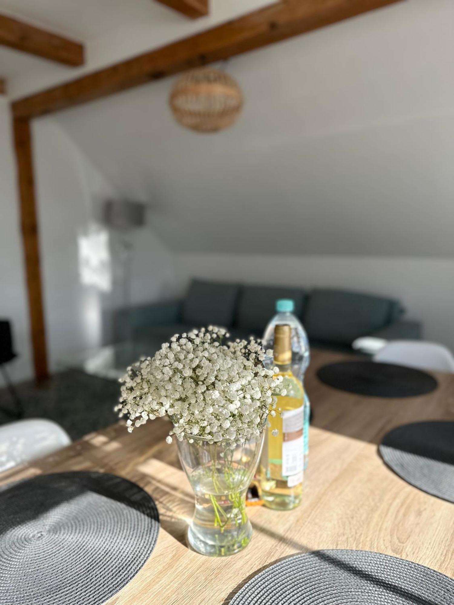 Klimatyczny Apartament Nr 8 Z Widokiem Na Gory Sowie เบียลาวา ภายนอก รูปภาพ